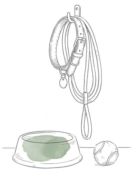 Drawing of a dog collar, leash and ball