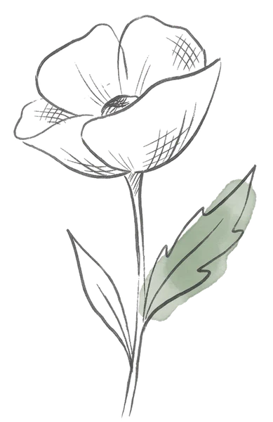 Drawing of a remembrance poppy